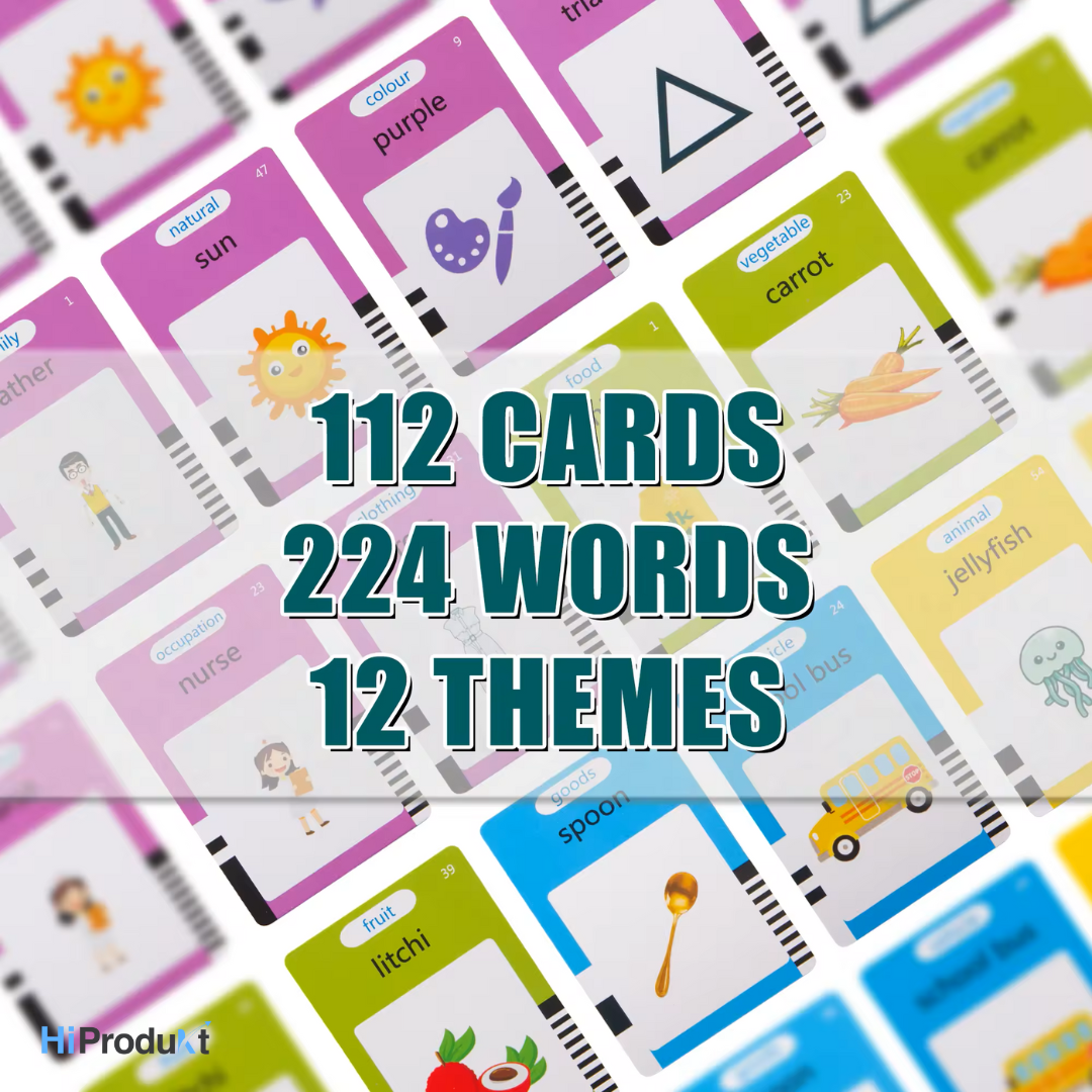 Talking Flash Card Reader